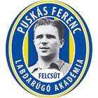 Logo Puskas Academia Budapest